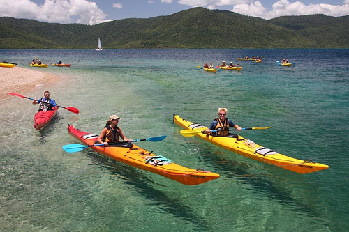 Half Day Sea Kayaking Tour